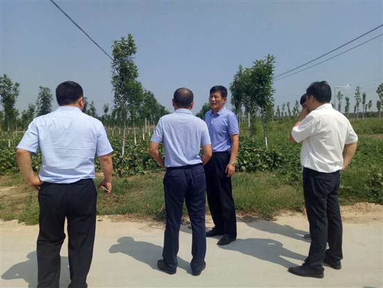 C:UsersdellAppDataLocalTempWeChat Files86202792282190466.jpg